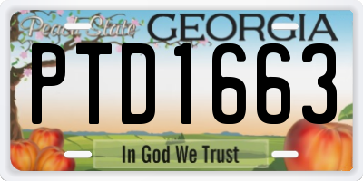 GA license plate PTD1663