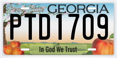 GA license plate PTD1709