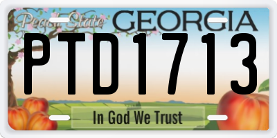 GA license plate PTD1713