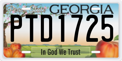 GA license plate PTD1725