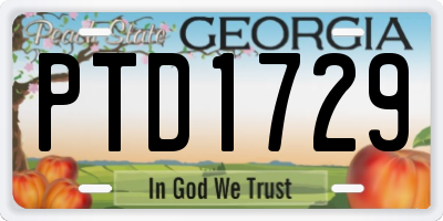 GA license plate PTD1729