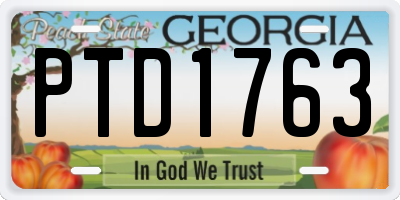 GA license plate PTD1763