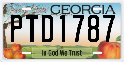 GA license plate PTD1787