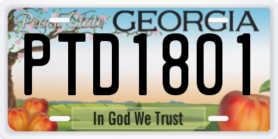 GA license plate PTD1801