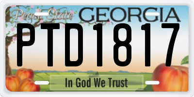 GA license plate PTD1817