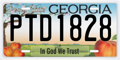 GA license plate PTD1828