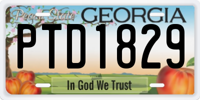 GA license plate PTD1829