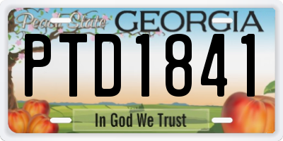 GA license plate PTD1841