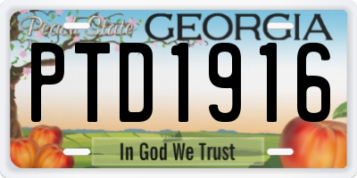 GA license plate PTD1916