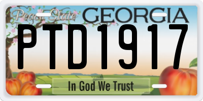 GA license plate PTD1917