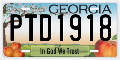 GA license plate PTD1918