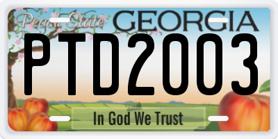 GA license plate PTD2003