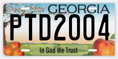 GA license plate PTD2004