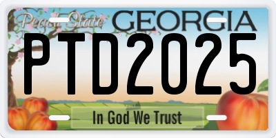 GA license plate PTD2025