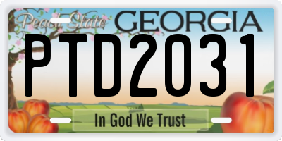 GA license plate PTD2031