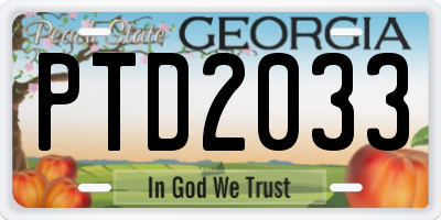 GA license plate PTD2033
