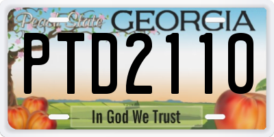 GA license plate PTD2110