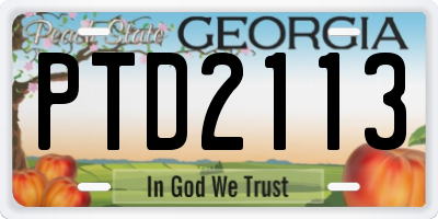 GA license plate PTD2113