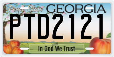 GA license plate PTD2121