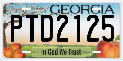 GA license plate PTD2125