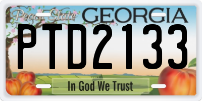 GA license plate PTD2133
