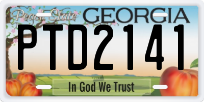 GA license plate PTD2141