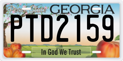 GA license plate PTD2159