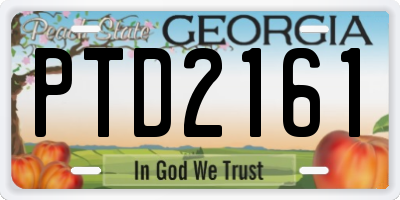GA license plate PTD2161