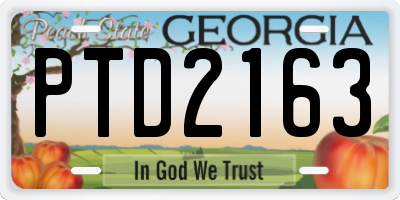 GA license plate PTD2163
