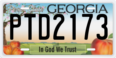 GA license plate PTD2173
