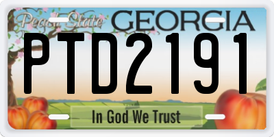 GA license plate PTD2191