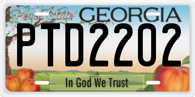 GA license plate PTD2202