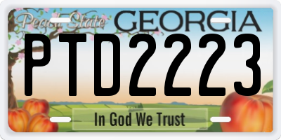 GA license plate PTD2223
