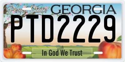 GA license plate PTD2229