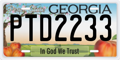 GA license plate PTD2233