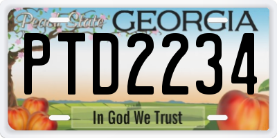 GA license plate PTD2234