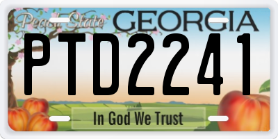 GA license plate PTD2241