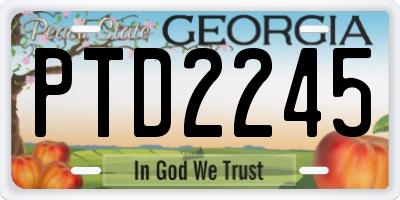 GA license plate PTD2245