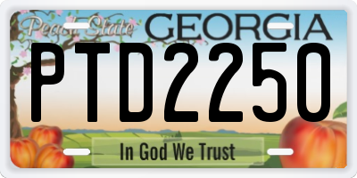 GA license plate PTD2250