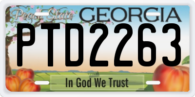 GA license plate PTD2263