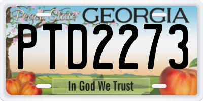 GA license plate PTD2273
