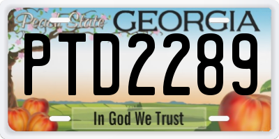 GA license plate PTD2289