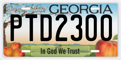 GA license plate PTD2300