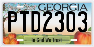 GA license plate PTD2303