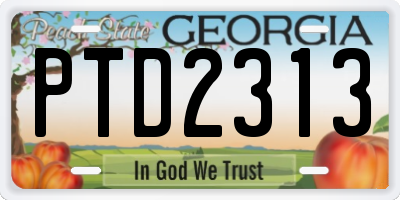 GA license plate PTD2313
