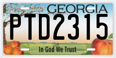 GA license plate PTD2315