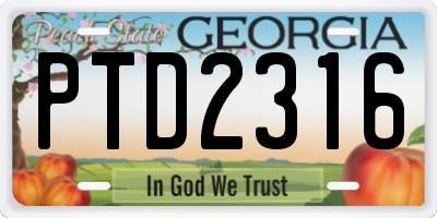 GA license plate PTD2316