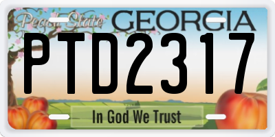 GA license plate PTD2317
