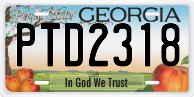GA license plate PTD2318
