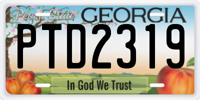 GA license plate PTD2319